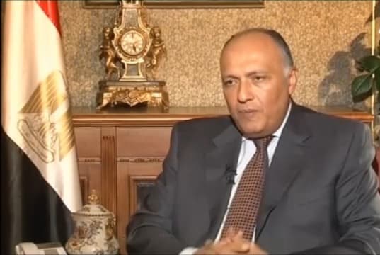 شكري: مصر تستضيف لقاء بين أطراف المعارضة السورية