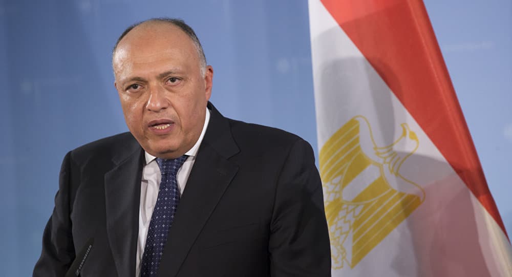 الخارجية المصرية تؤكد موقفها الداعم للحل السياسي في سوريا