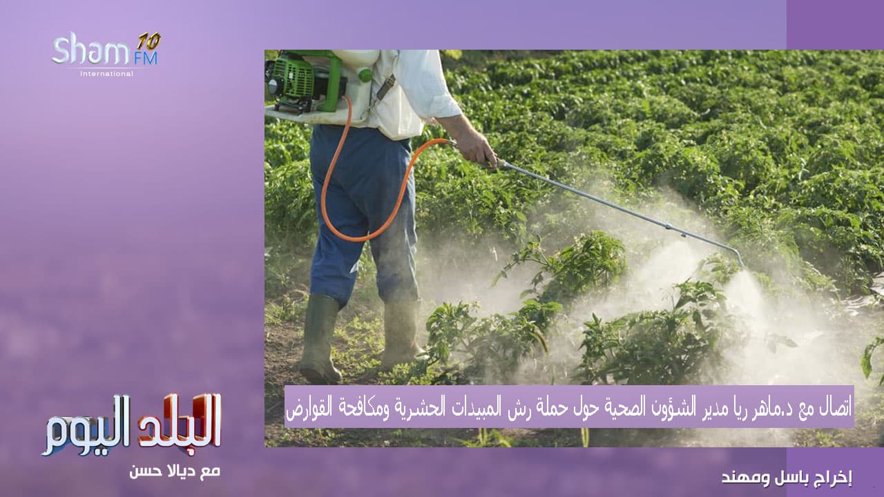 جاهزية تامة لمحافظة دمشق في مكافحة الحشرات والقوارض والأفاعي وتلبية الشكاوى على مدار العام