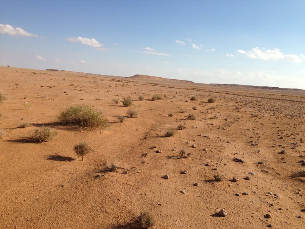 نائب عراقي: البغدادي يتخذ من صحراء الأنبار ملاذا آمناً له