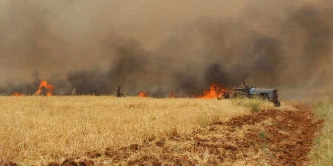 الزراعة: لا يمكن تعويض متضرري الحرائق من صندوق الكوارث