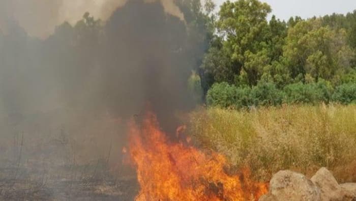 حريق في سهل الزبداني بريف دمشق يخلف أضراراً كبيرة