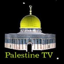 تازيون فلسطين