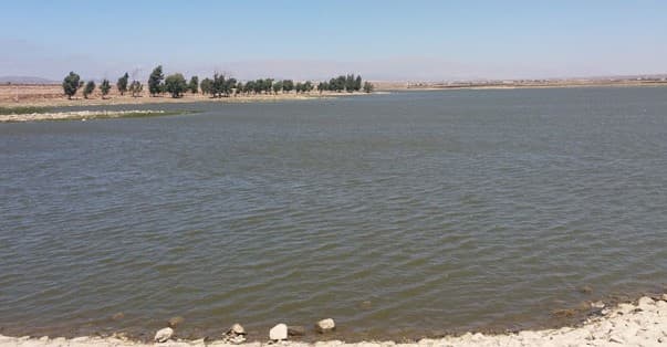 القنيطرة
