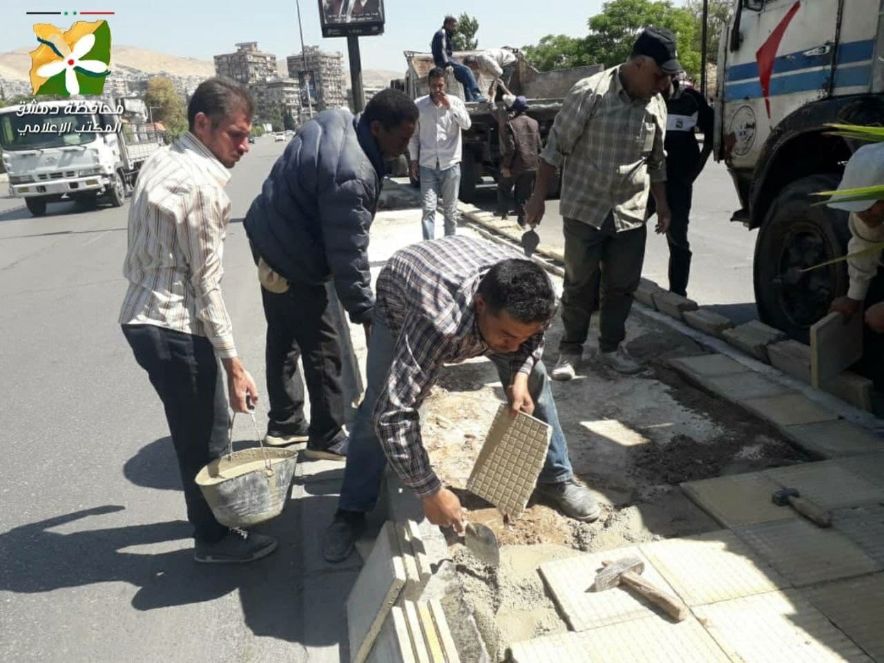 القدم