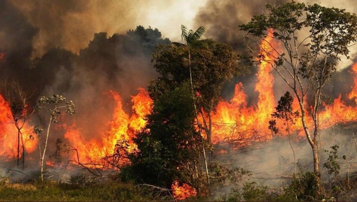 إخماد حريق بأشجار مثمرة في ريف حمص الغربي- صورة من الأرشيف