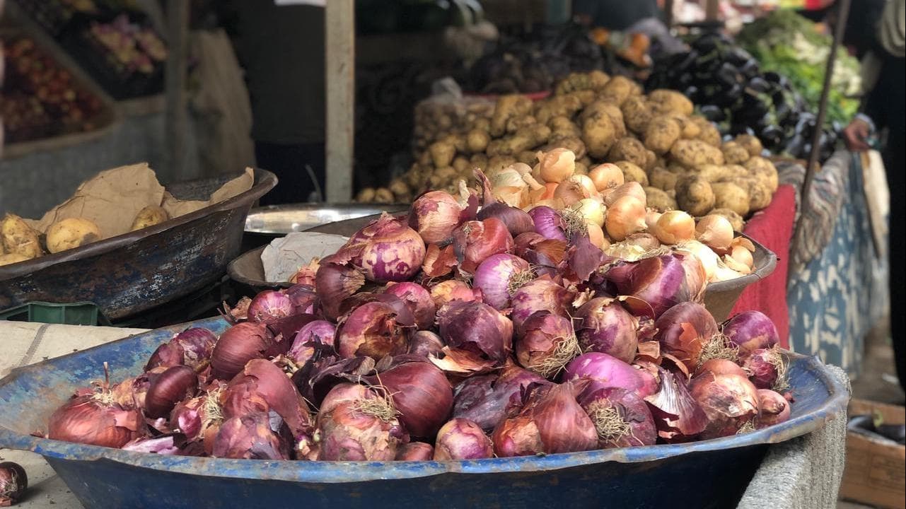  البصل