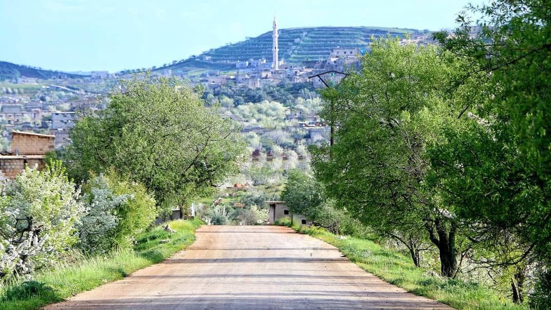 جبل الزاوية
