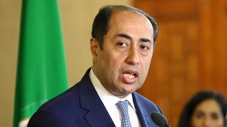 أكد الأمين العام المساعد لجامعة الدول العربية حسام زكي 