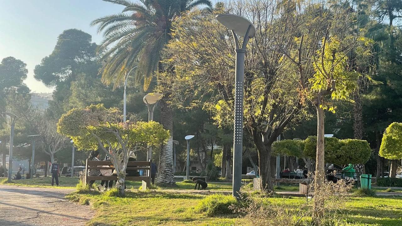 حديقة 