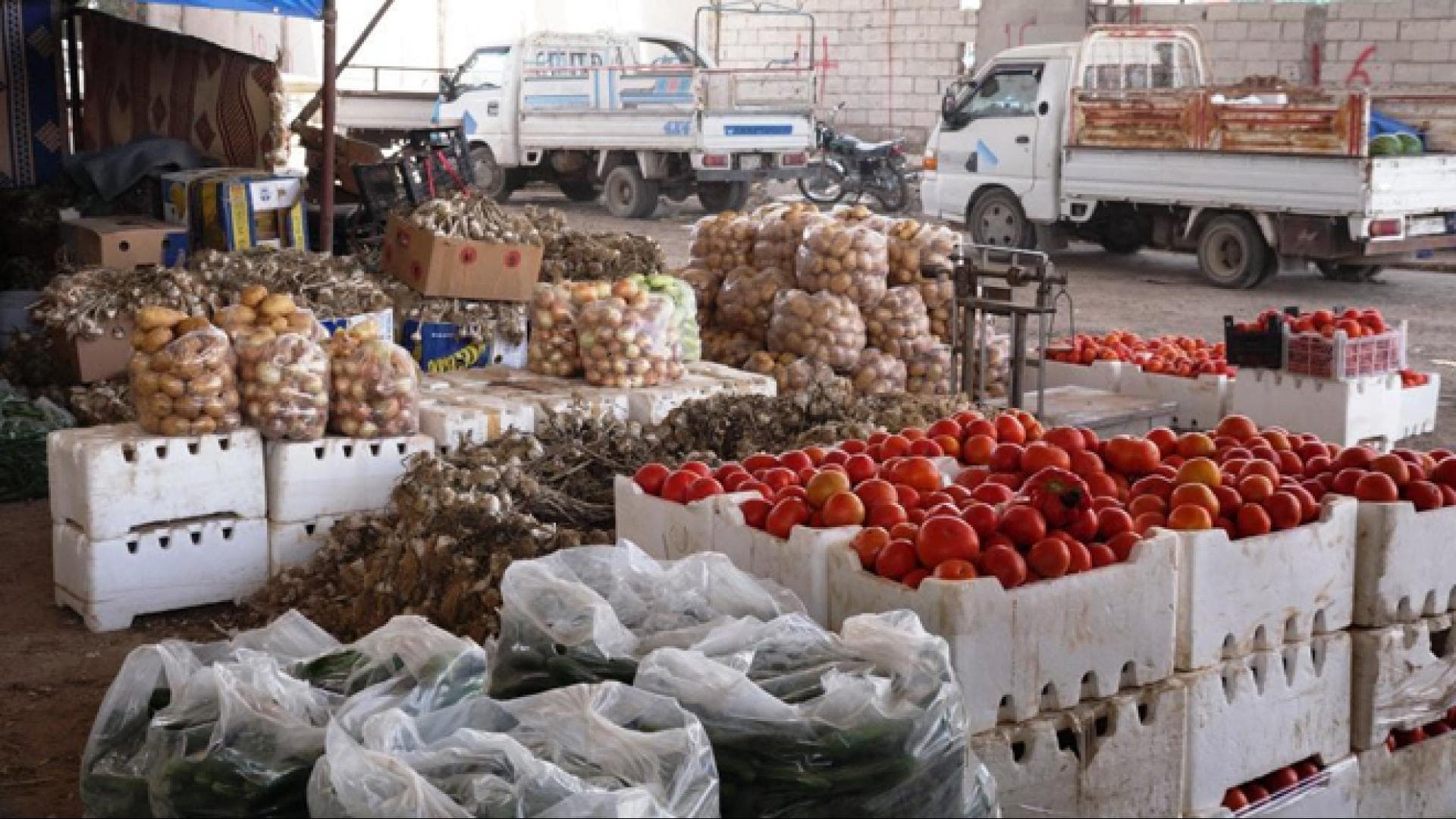 سوق الهال
