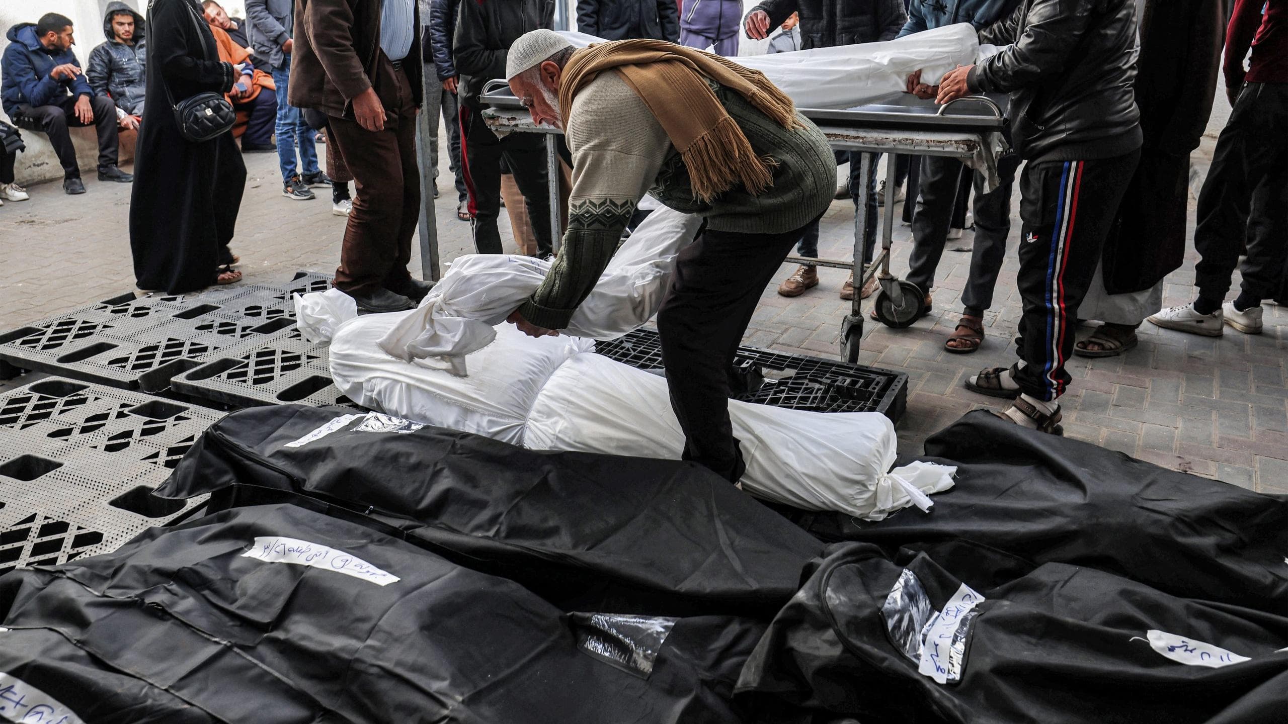 وزارة الصحة في غزة: استشهاد 82 فلسطينياً، وإصابة 98 أخرين جراء 8 مجازر للاحتلال