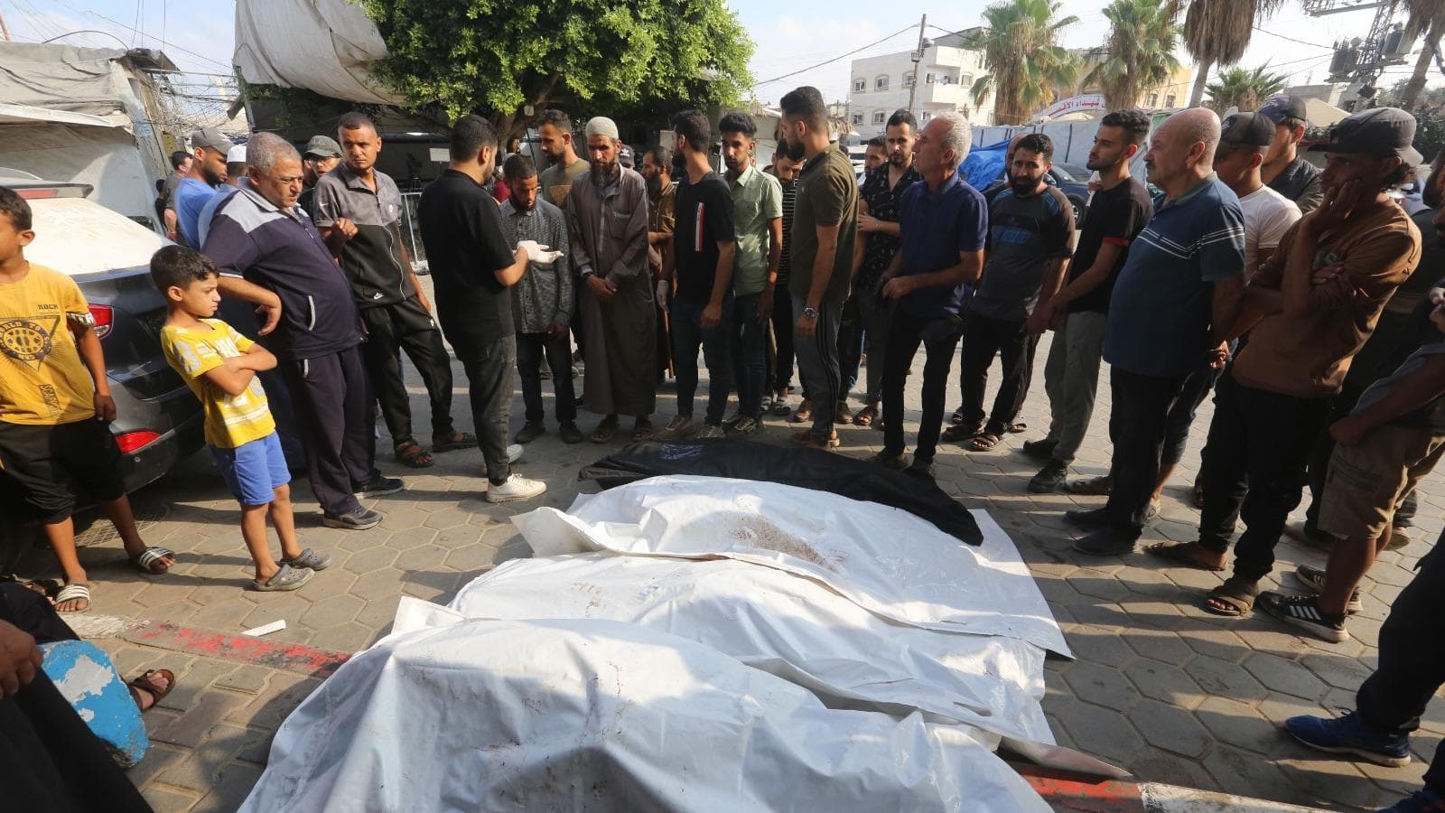 55 شهيداً فلسطينياً خلال 24 ساعة، والدفاع المدني بغزة ينقذ امرأة وطفلين من تحت الركام