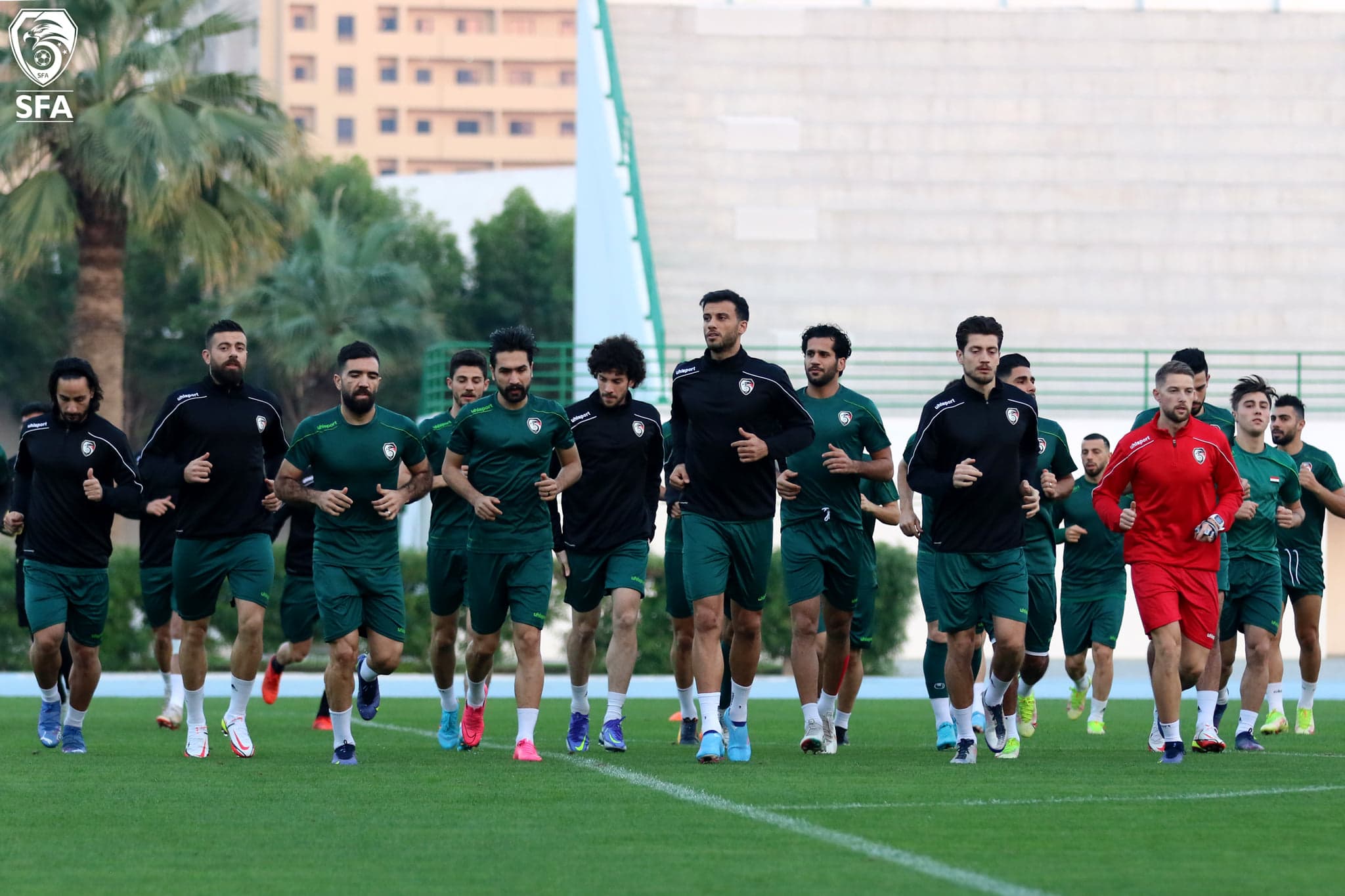 نسور قاسيون