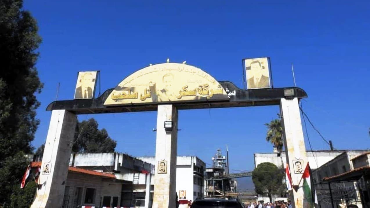 بعد توقف لسنوات.. معمل السكر بحماة يعود للخدمة